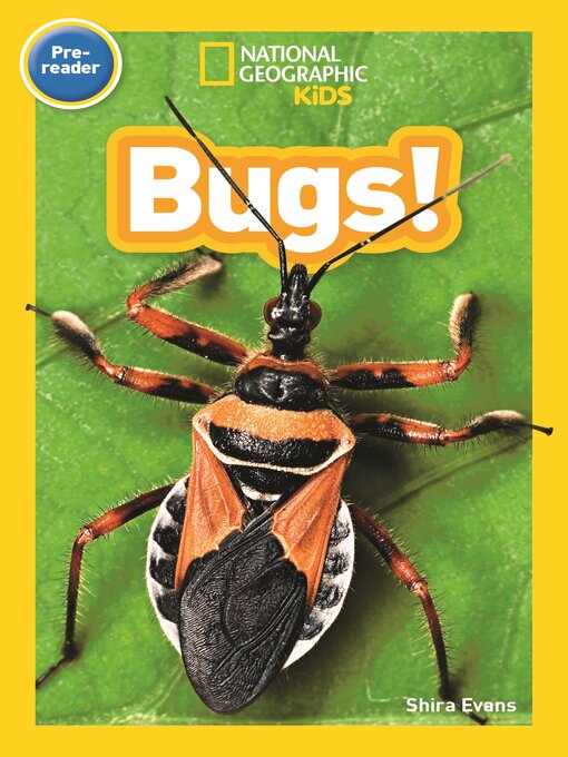 Title details for Bugs by Shira Evans - Available